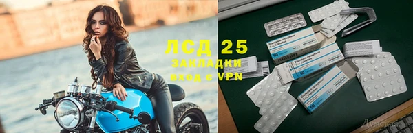 гашик Арсеньев