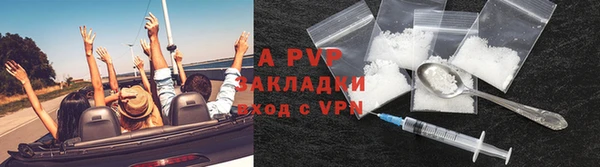 ешки Аркадак