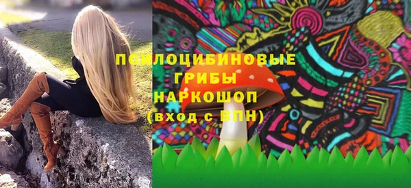 ешки Аркадак