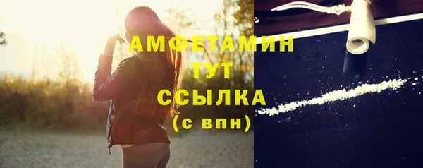 гашик Арсеньев