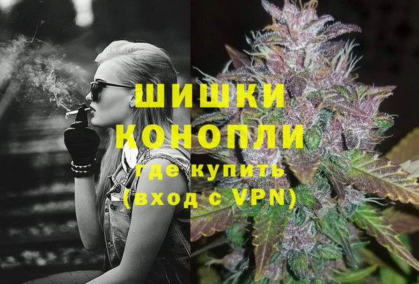 гашик Арсеньев