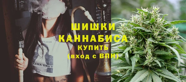 гашик Арсеньев
