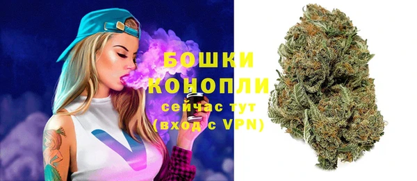 гашик Арсеньев