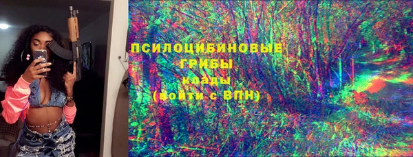 ешки Аркадак