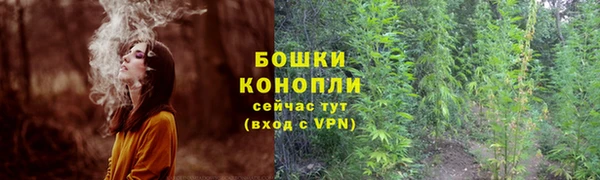 ПСИЛОЦИБИНОВЫЕ ГРИБЫ Армянск