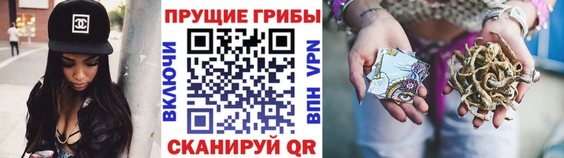 Галлюциногенные грибы ЛСД  наркота  Онега 